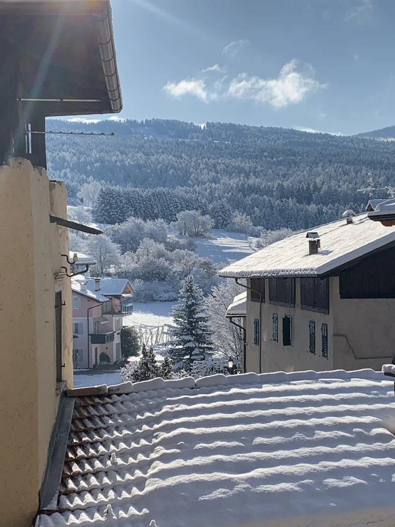 Vista dalla finestra dell’appartamento: tetti innevati e bosco sullo sfondo