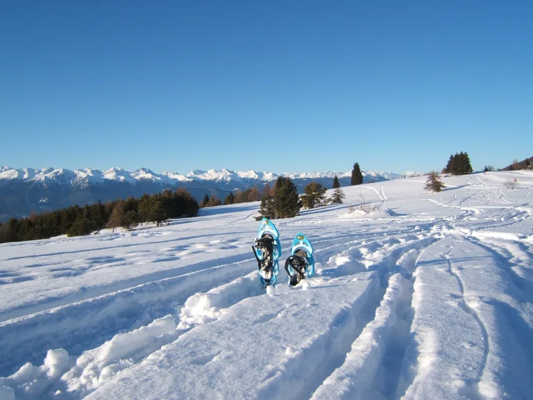 Ciaspole nella neve, con boschi e montagne sullo sfondo