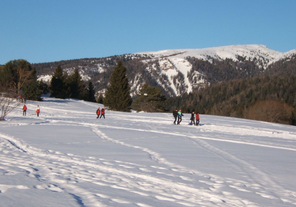 Snowshoeing in Predaia among snowy woods