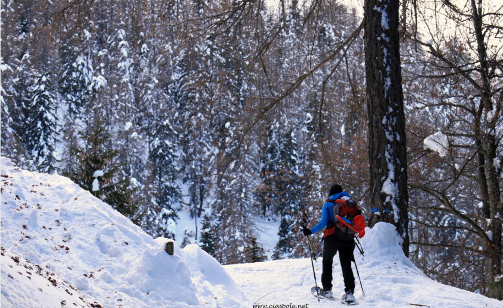 Ciaspolata in Val di Non durante l’Epifania