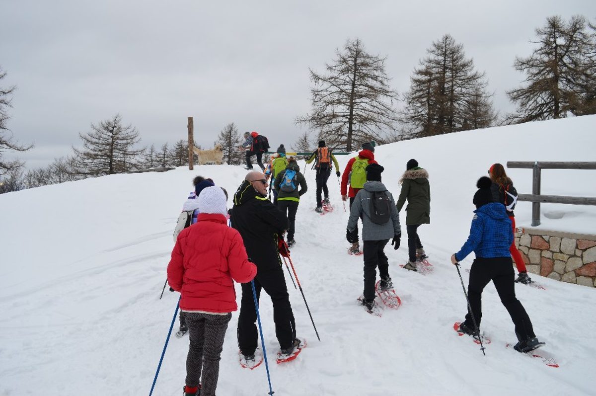 Ciaspolata invernale in Predaia con guide alpine tra boschi innevati