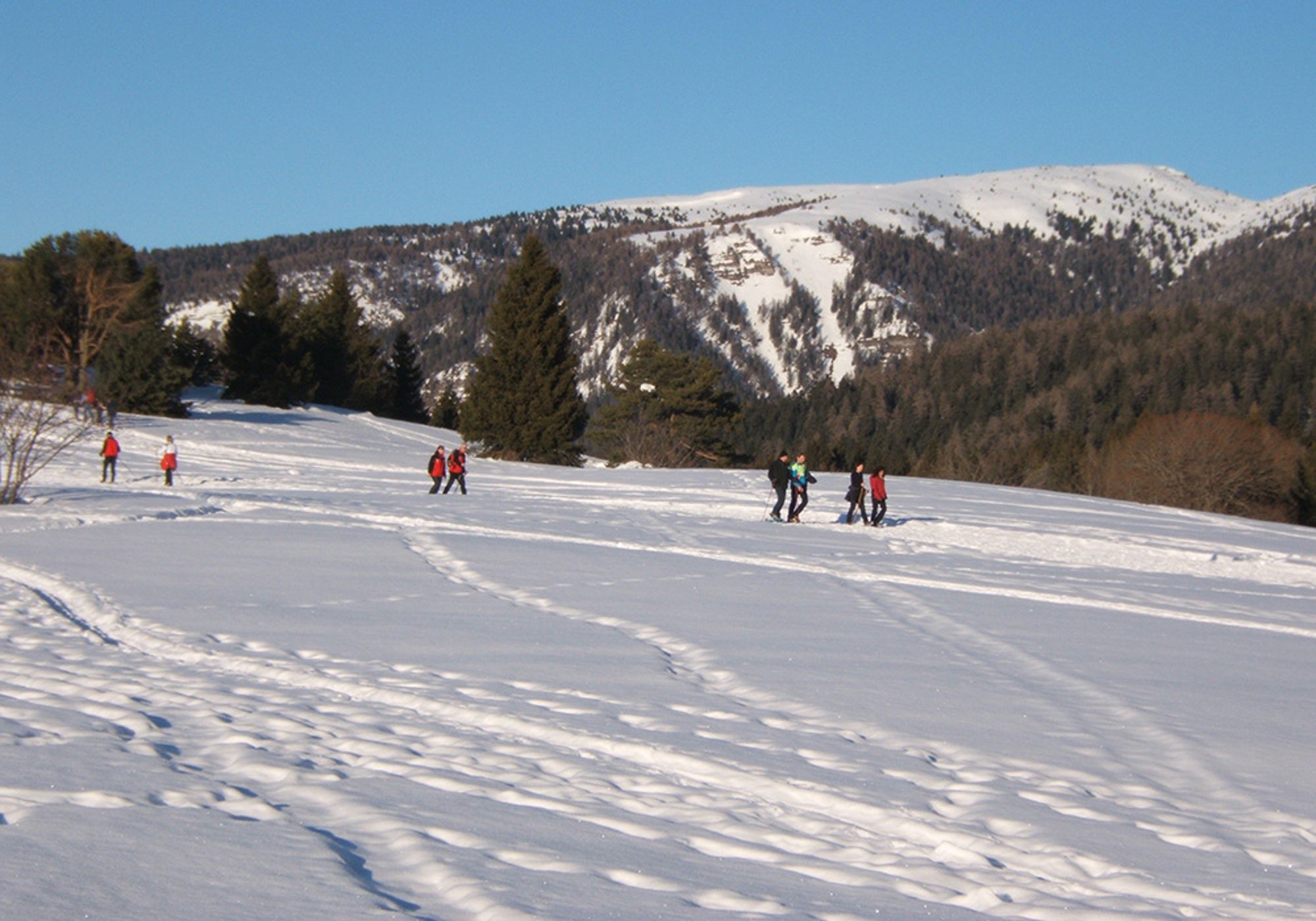 Ciaspolata sull’altopiano della Predaia in inverno