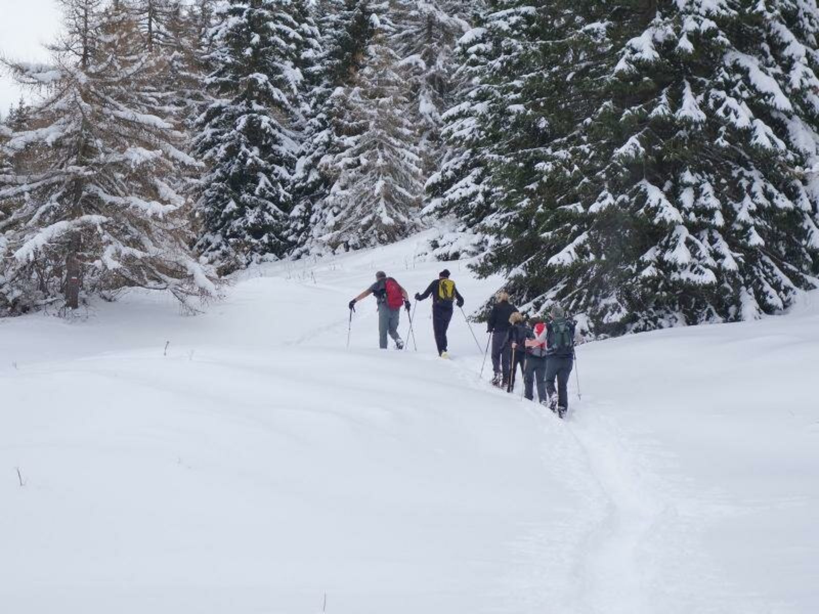 Malga Rodeza aperta per il cenone di Capodanno in Val di Non